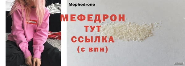 индика Протвино