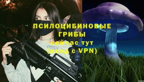 гидра Бородино